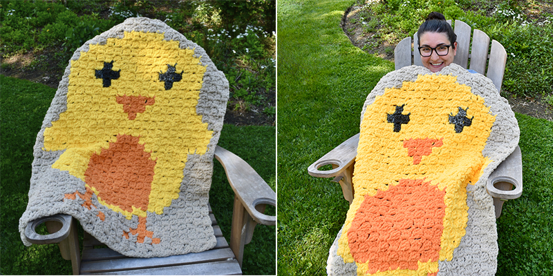 Baby Chick Blanket
